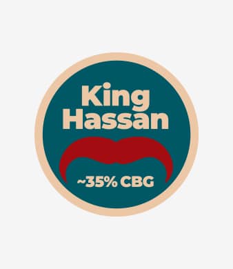 Mousthash_King-Hassan_03