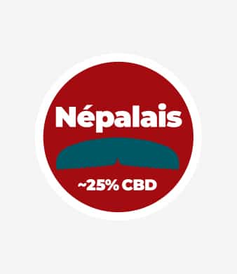 Mousthash_Nepalais_03