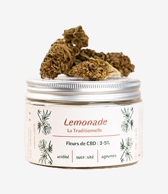 Les_Plantes_de_Tomines_Fleur_CBD_Lemonade_Outdoor_uweed_02