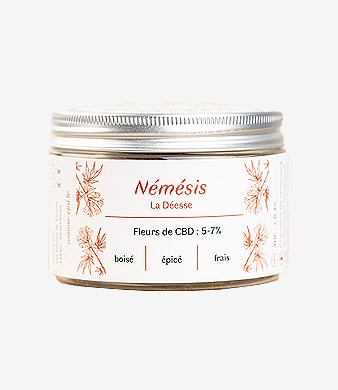 Les_Plantes_de_Tomines_Fleur_CBD_Némésis_Outdoor_uweed_01